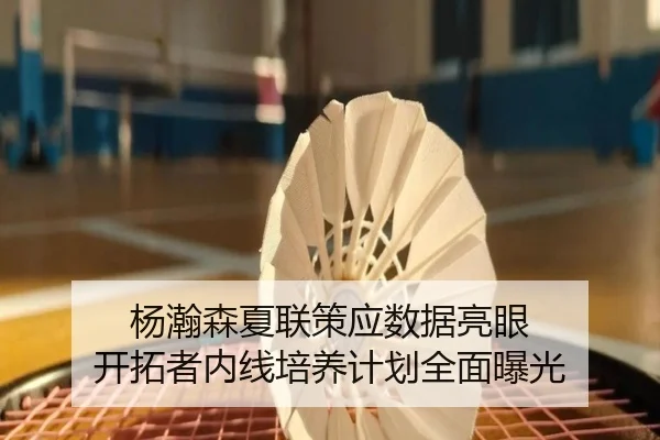 杨瀚森夏联策应数据亮眼 开拓者内线培养计划全面曝光